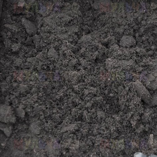 Торфосмесь из земли, песка и торфа.