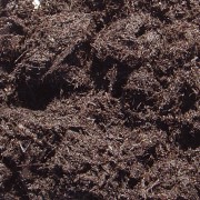 Торф обычный