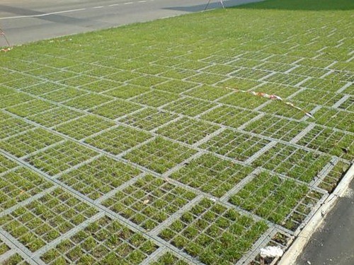 Создание экопарковок